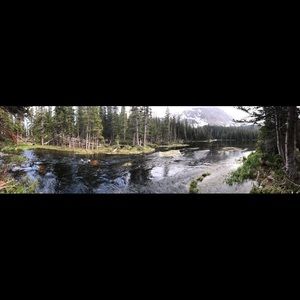 Meet your Posher, Lindsey